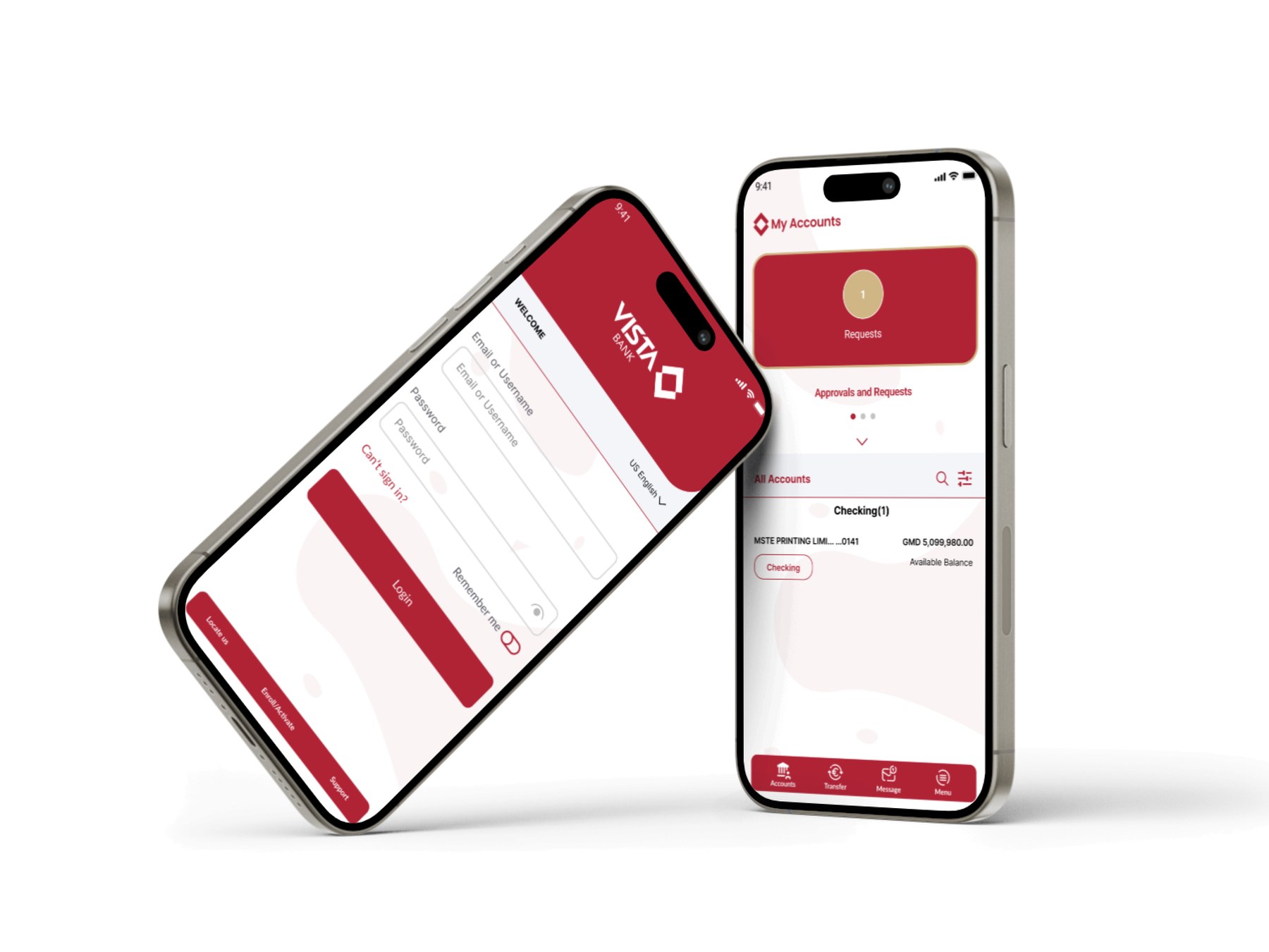 Vista Digital Banking — Multi-Country Corporate Banking